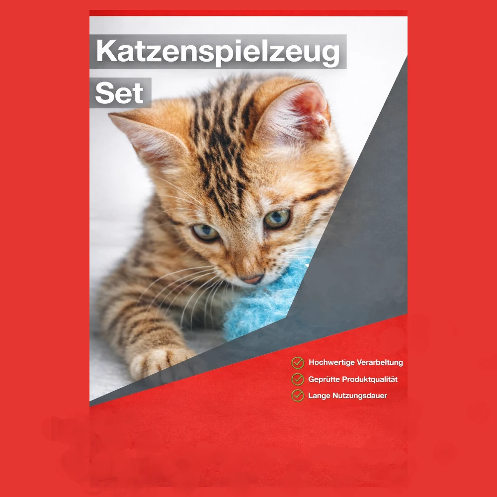 Spielzeug Set für Katzen