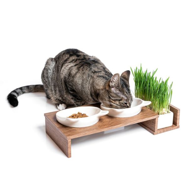 Futterbar Cat Diner – Bild 2